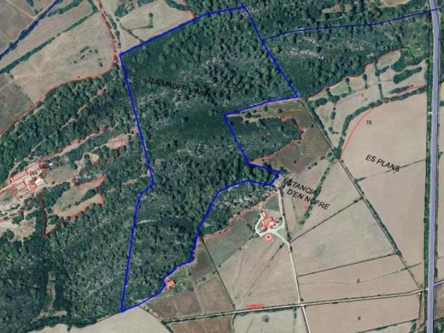 Terreno en venta en Alaior, Alaior