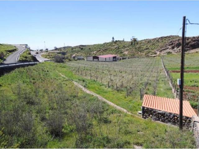 Terreno en Venta en Alajeró