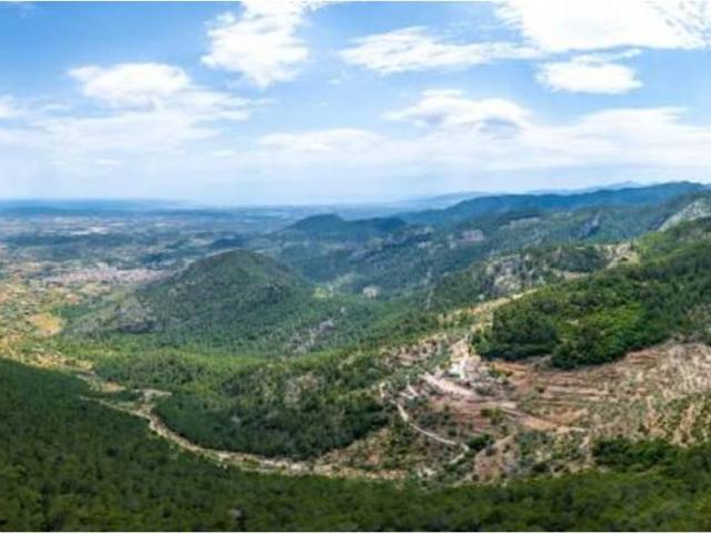 Terreno en Venta en Alaró