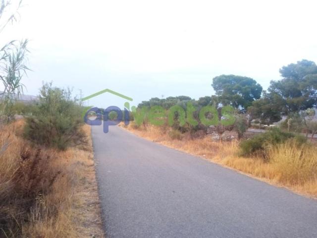 Terreno en venta en Albox, El limite