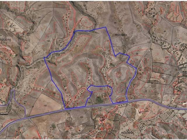 Terreno en Venta en Albox