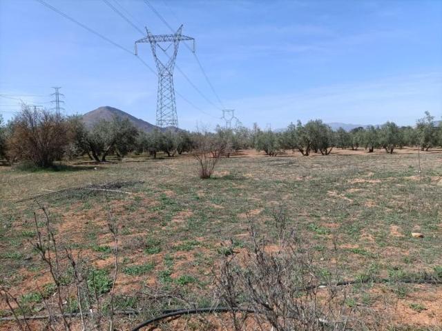 Terreno en venta en Albolote, La zanja