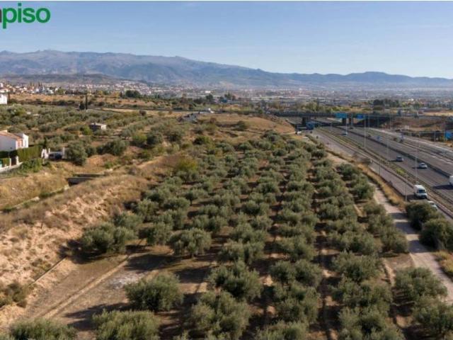 Terreno en Venta en Albolote