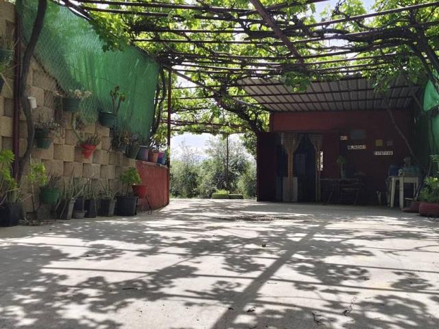 Terreno en Venta en Albolote