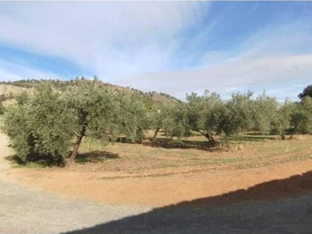 Terreno en Venta en Albolote