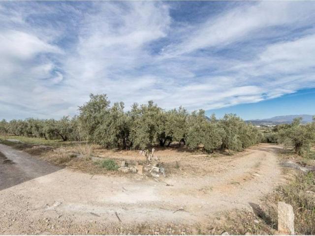 Terreno en Venta en Albolote