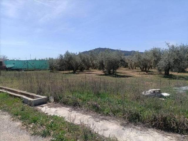 Terreno en Venta en Albolote