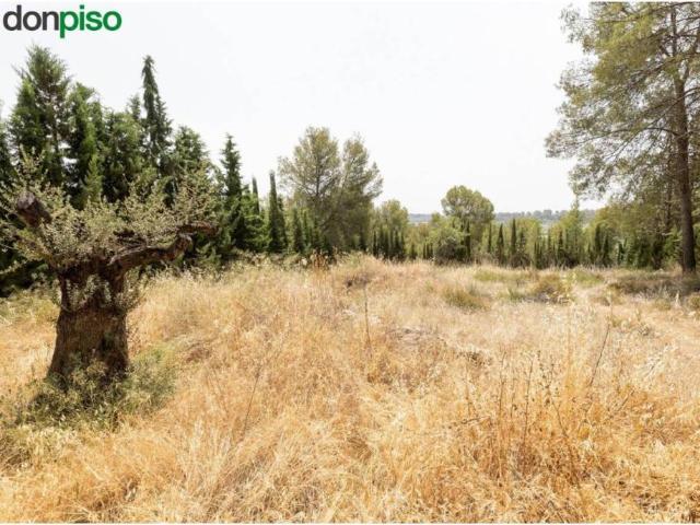 Terreno en Venta en Albolote
