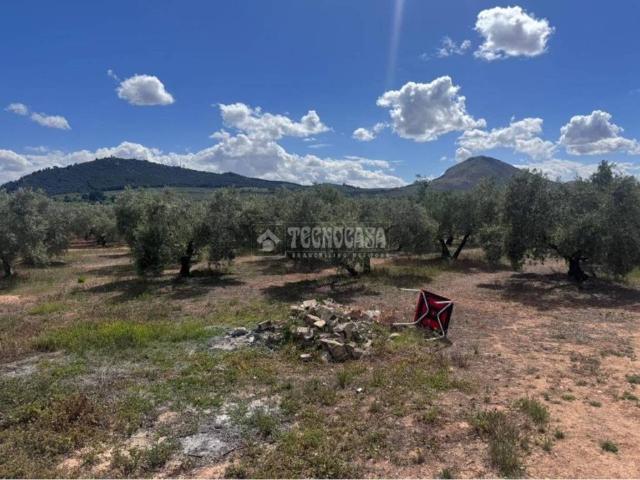 Terreno en Venta en Albolote