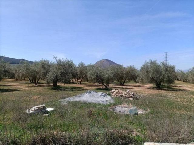 Terreno en Venta en Albolote