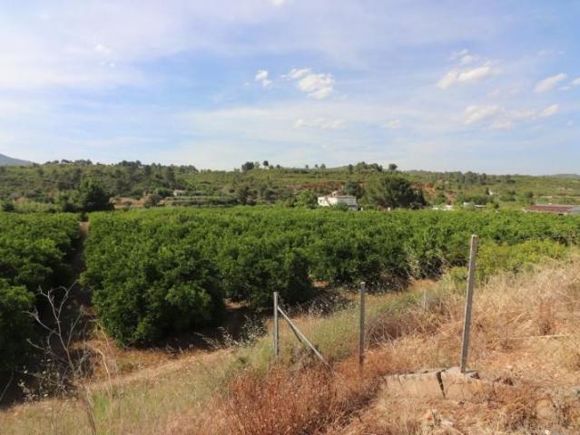 Terreno en venta en Alborache, MAESTRO CERVERA LLORET, 46369