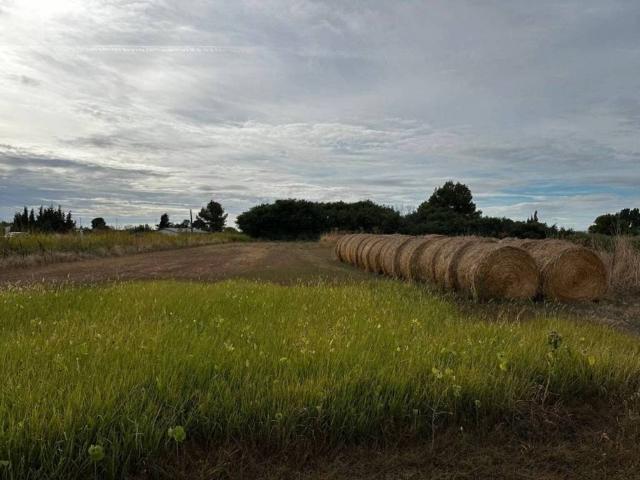 Terreno en Venta en Albatàrrec