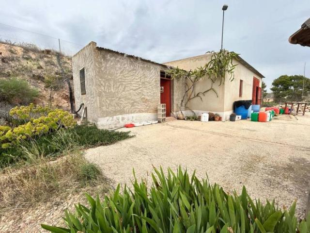 Terreno en Venta en Albatera