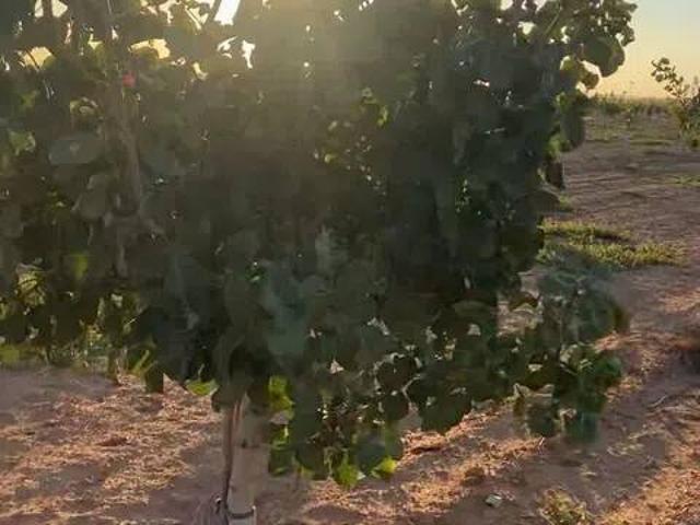 Terreno en Venta en Albacete