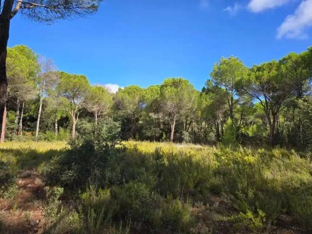 Terreno en Venta en Albacete