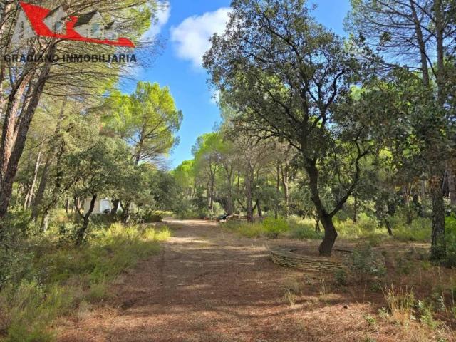 Terreno en Venta en Albacete