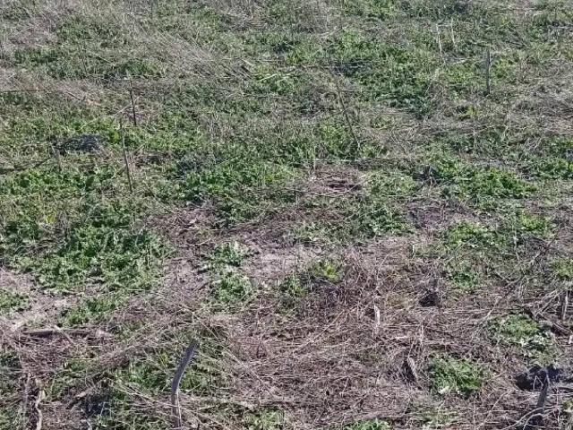 Terreno en Venta en Albacete