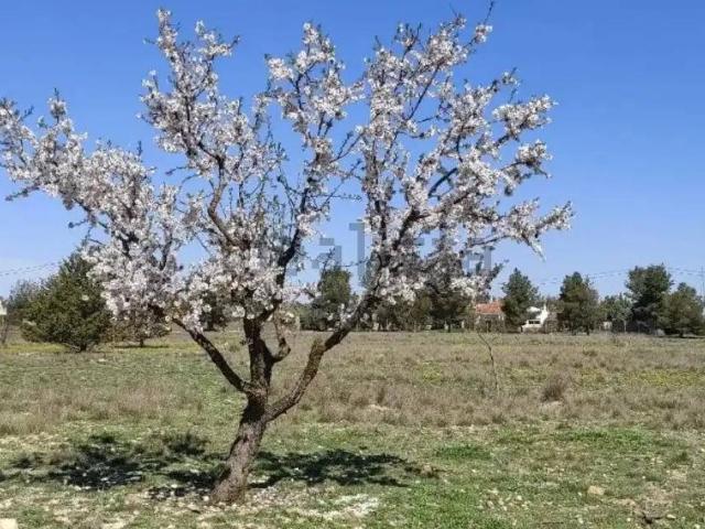 Terreno en Venta en Albacete