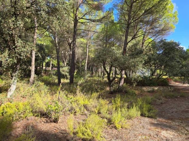 Terreno en Venta en Albacete