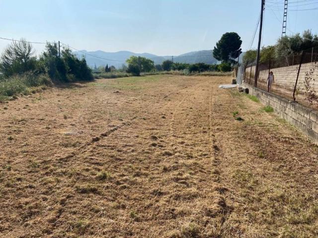 Terreno en Venta en Albaida