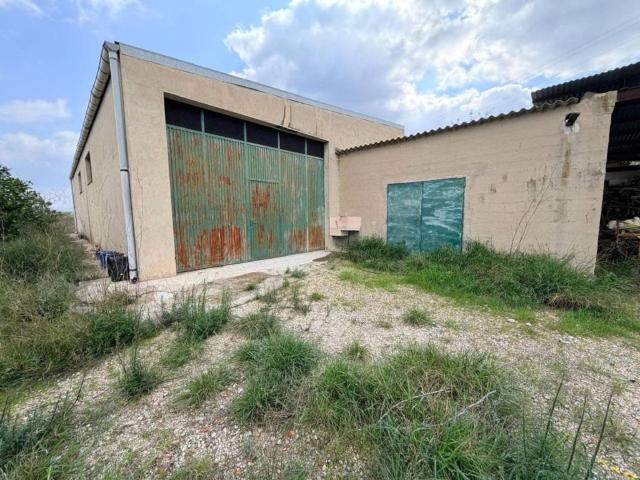 Terreno en Venta en Albaida