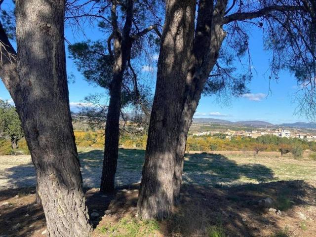 Terreno en Venta en Albaida