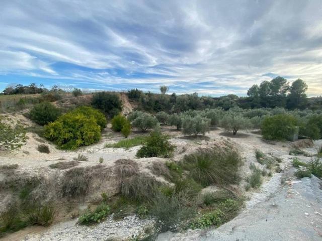 Terreno en Venta en Albaida