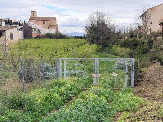 Terreno en Venta en Albaida