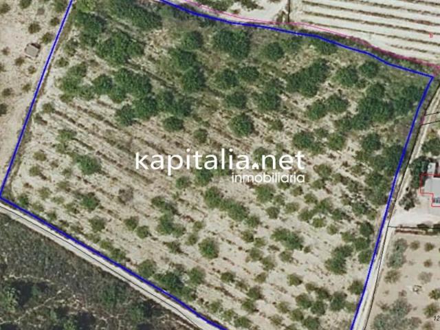 Terreno en venta en Albaida, Albaida