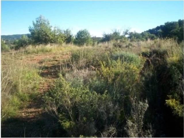 Terreno en Venta en Albalat dels Tarongers