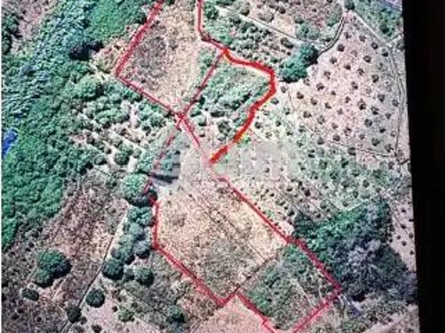 Terreno en Venta en Albalat dels Tarongers