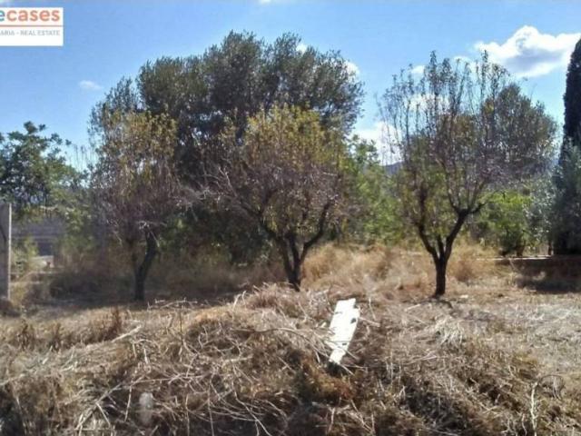 Terreno en Venta en Albalat dels Tarongers