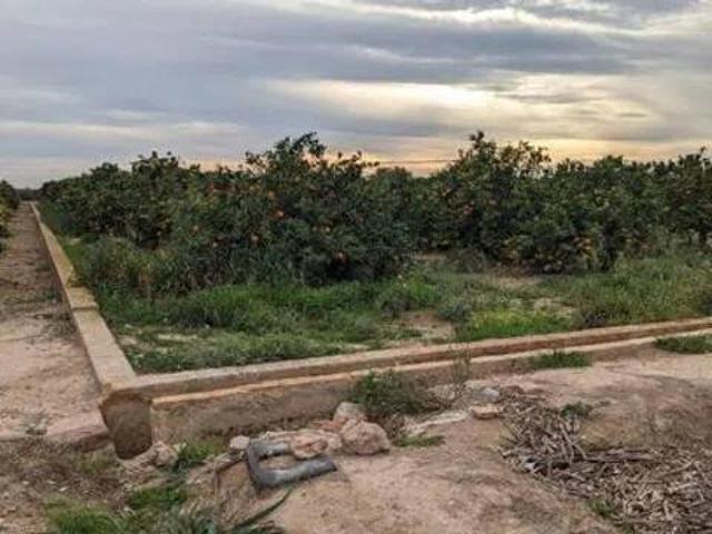 Terreno en Venta en Albalat dels Sorells