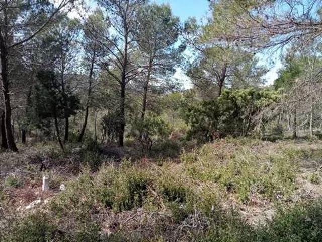 Terreno en Venta en Albalate de Zorita