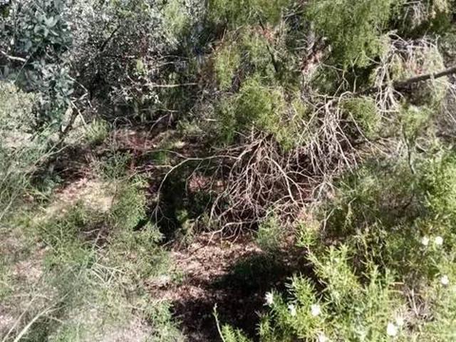 Terreno en Venta en Albalate de Zorita