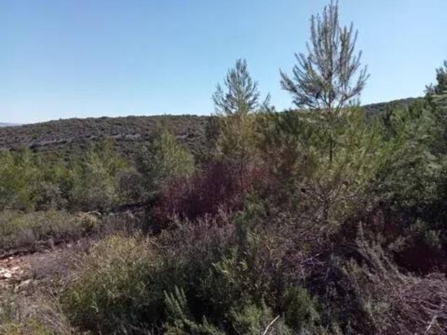 Terreno en Venta en Albalate de Zorita