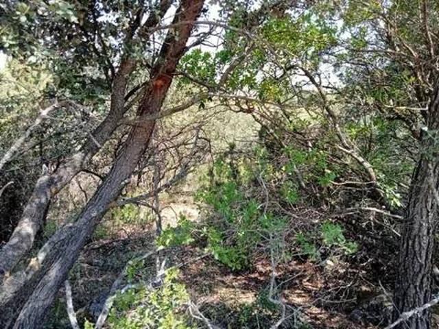 Terreno en Venta en Albalate de Zorita