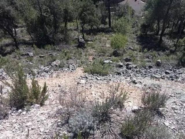 Terreno en Venta en Albalate de Zorita