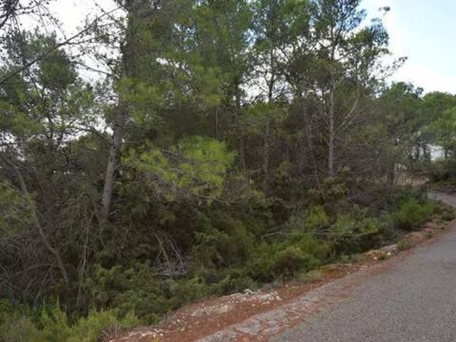 Terreno en Venta en Albalate de Zorita