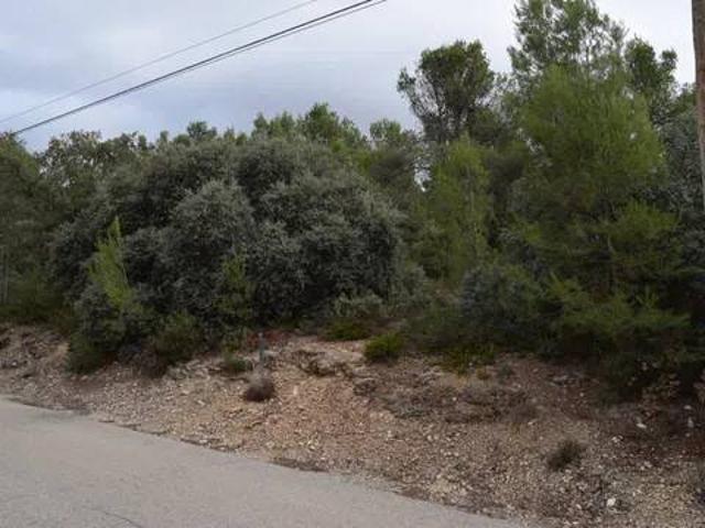 Terreno en Venta en Albalate de Zorita