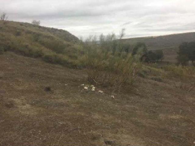 Terreno en venta en Albalate de Zorita, Illana