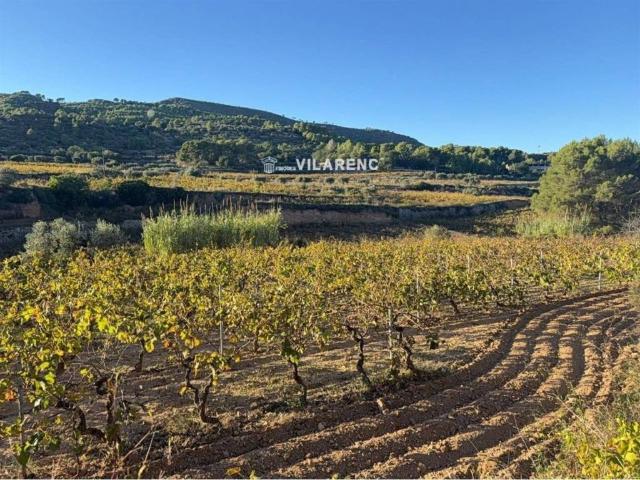 Terreno en Venta en Albinyana