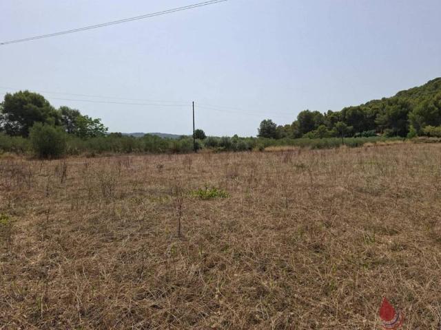 Terreno en Venta en Albinyana