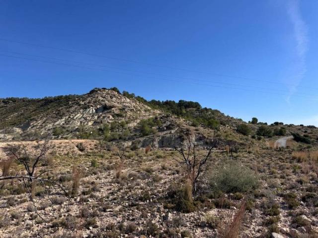 Terreno en Venta en Albudeite