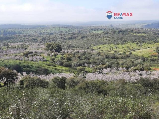Terreno en Venta en Alburquerque