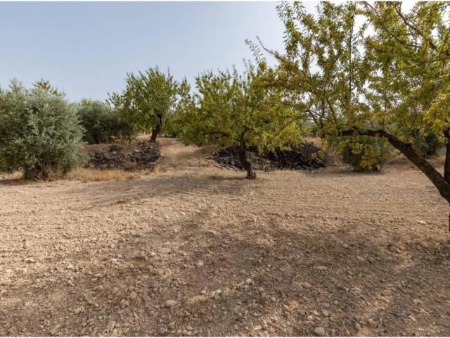 Terreno en Venta en Albuñuelas