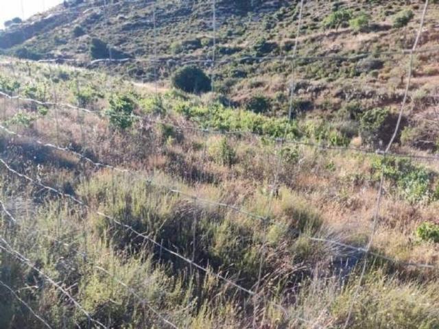 Terreno en Venta en Albuñuelas