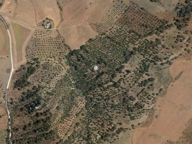 Terreno en Venta en Algodonales
