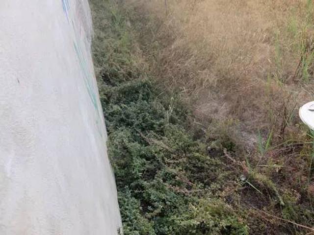 Terreno en Venta en Algorfa