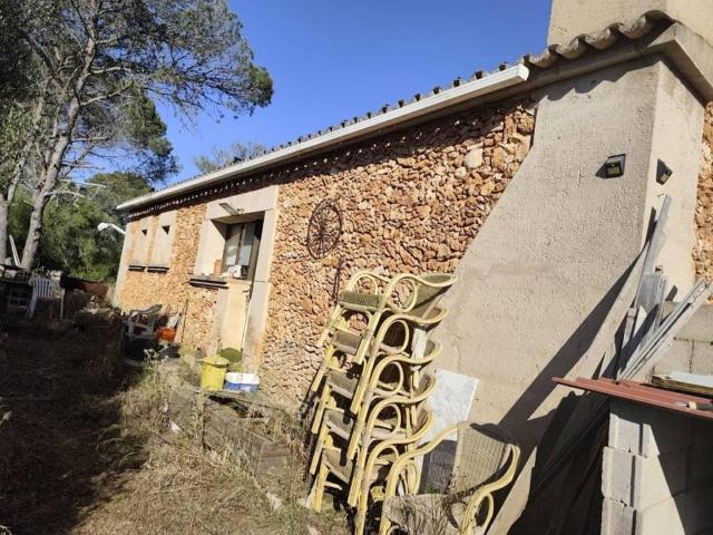 Terreno en Venta en Algaida